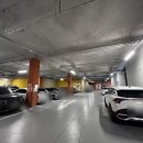 언디핏피트니스×더탠 이미지