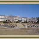 설악식관 이미지