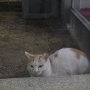 성광세탁 | 소비 요정의 3월 셋째주