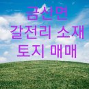 금강산 공인중개사사무소 이미지