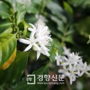 쟈스민갤러리