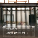딥서울게스트하우스