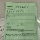 크린토피아보수