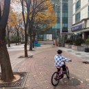 스노우게임즈 | 11월 굿바이 주간일기 일상 기록