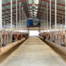 감돈축산 이미지