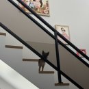 현동모터스 이미지