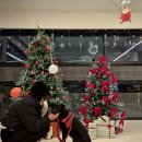 시밀레스테이 이미지