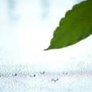 가을바람 이미지