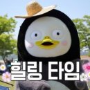풀282 이미지