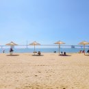 내일 목요일부터 vacance ... 이미지