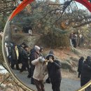 임곡로 | 안양 비봉산 일출 새해 해돋이 명소 후기