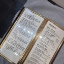 설렘테라피