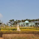 나문재관광농원 이미지