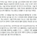 김대환 : 정문홍 대표가 전화통화에서 김수철 선수와 판정 관련 심판진에 대해 비난을 했다. 이미지