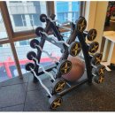 마일드짐 이미지