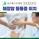 췌장암 초기 췌장암 등통증 위치 원인 말기 이미지