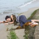 핫 다이어트댄스 이미지