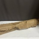 프리저브드 플라워 | 시들지않는꽃 팔팔FLOWER 대용량 프리저브드 플라워 구매후기!