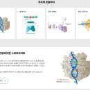 (주)바이오웨이브