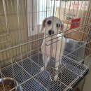 선수촌로 이미지