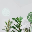 반려식물(홈가드닝) 이미지