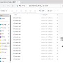 아야어여우유