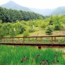 녹색꽃식물원