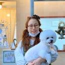 스타일좋개 이미지