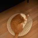 한보라1로64번길 이미지