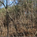 주문진초등학교삼덕분교장 이미지