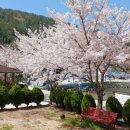 궁항어촌체험휴양마을 이미지