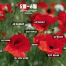 대부목장1 이미지