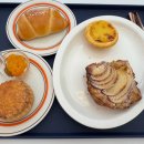 오델리스 이미지