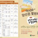 주간시티투어 이미지