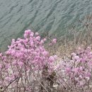 김천호반펜션 이미지