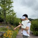 미르3반 김서진 꽃이랑 사진찍기 🌻 이미지