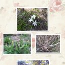 (주)달란트 이미지