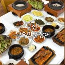 동우민물장어