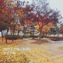 왕도매농산물