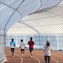 당진종합운동장 보조경기장 | 비닐하우스 트랙 ‘한파 러닝 성지’…파주·안산·시흥·포천·당진 위치 총정리