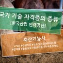 진로축산 이미지