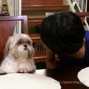 방과후스낵