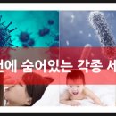 홈턴