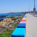 제주 올레길 17코스 이미지