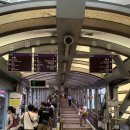 비맨션(B.Mansion) | [홍콩 마카오 3박4일] 3일차｜미드레벨 에스컬레이터 추천 코스, 홍콩 센트럴 맛집, 덩라우 벽화...