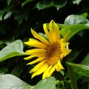 예지어린이집 이미지