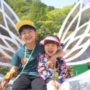 광주금강공인중개사사무소 이미지