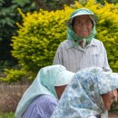 105세 이상 장수한 사람들을 추적 연구한 결과 밝혀진 사실 이미지