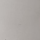 유라인의원 이미지