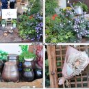 전주성심여자중학교 이미지